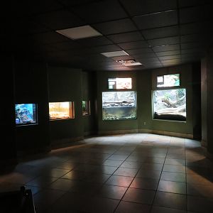 Herpetarium Interior