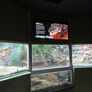 Chinese Alligator Enclosure
