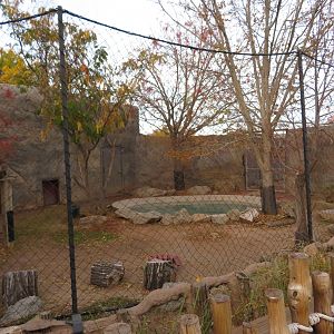 Capybara Enclosure