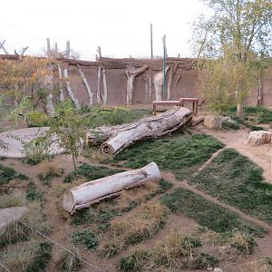 Cheetah Enclosure