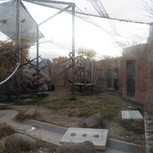 Chimpanzee Enclosure