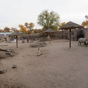 White Rhino Enclosure