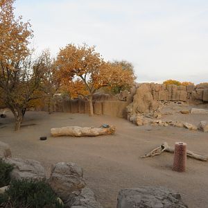 Mountain Zebra Enclosure