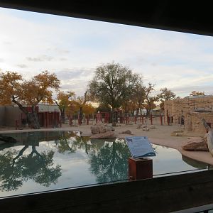 Asian Elephant Exhibit