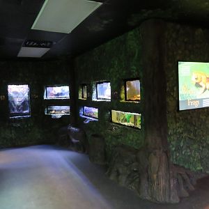 Life on a Limb (Amphibian Building)