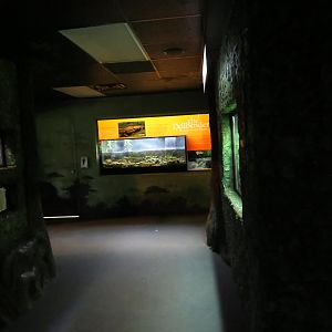 Life on a Limb (Amphibian Building)