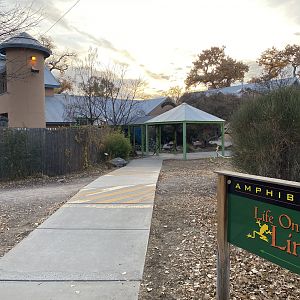 Life on a Limb (Amphibian Building)