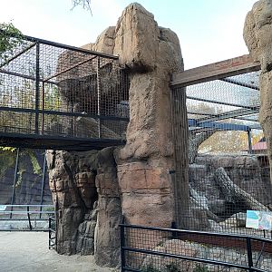 Puma Enclosure & Overhead Path