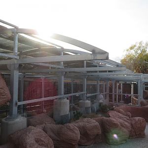 Birds of the Islands