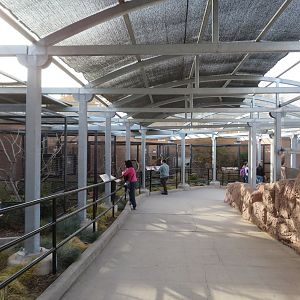 Birds of the Islands