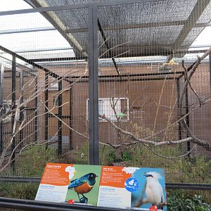 Birds of the Islands