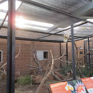 Birds of the Islands