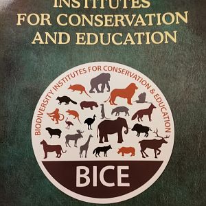 Biodiversity Institutes for Conservation and Education (BICE)