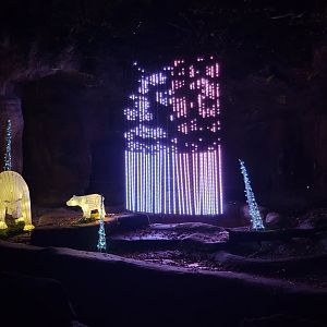 Dec. 2021 - Bear Hill - Former Black Bear Exhibit