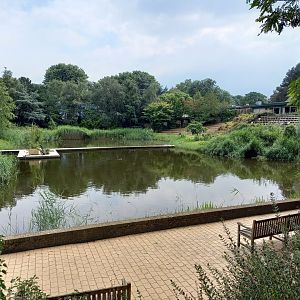 Pond in front of the Bird-show area