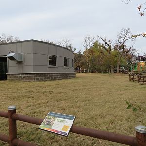 Galapagos Giant Tortoise Exhibit