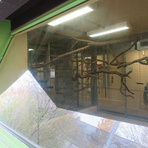 Indoor Lorikeet Holding