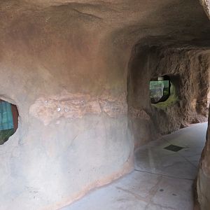 Alligator/Snapping Turtle Hatchling Cave