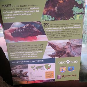 Signage about Snapping Turtle Hatching