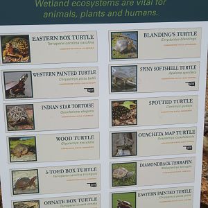 Wetlands Walkway Signage