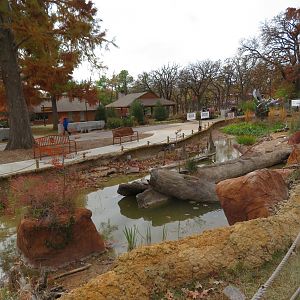 Wetlands Walkway - Amphibians