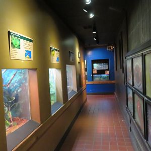 Herpetarium Hallway