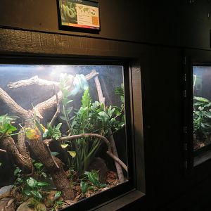 Herpetarium Exhibits