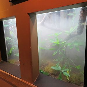 Mangshan Pitviper Tank