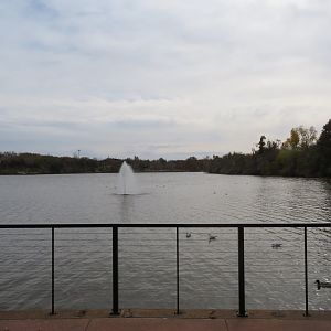 View of Lake