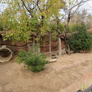 Southern Screamer/Patagonian Mara Exhibit