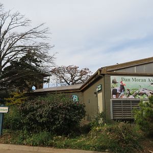 Dan Moran Aviary