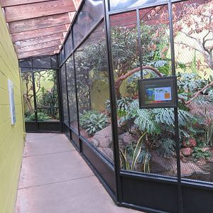 Dan Moran Aviary