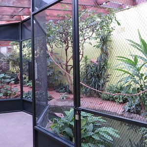 Dan Moran Aviary