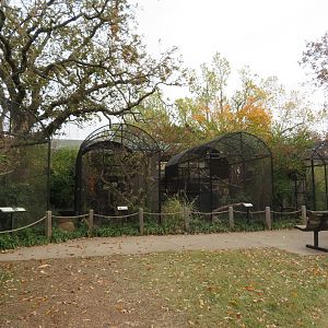 Sam Moore Aviaries
