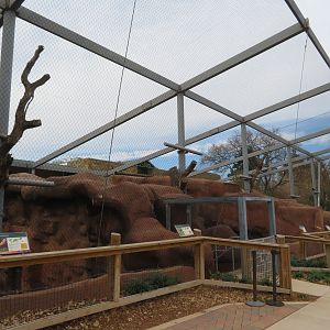 Raptor Ridge (5 spp)