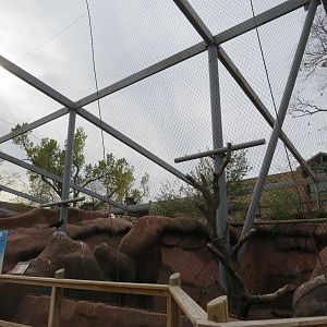 Raptor Ridge (5 spp)