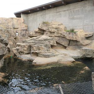 Sea Lion/Seal Exhibit