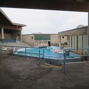 Sea Lion/Seal Presentation Area