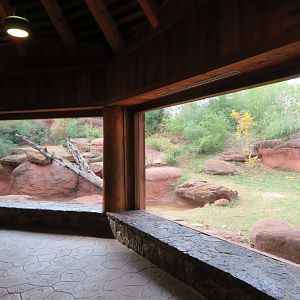 Tiger Exhibit Viewing Window