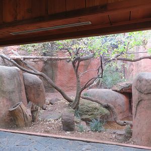 Former Tayra Exhibit