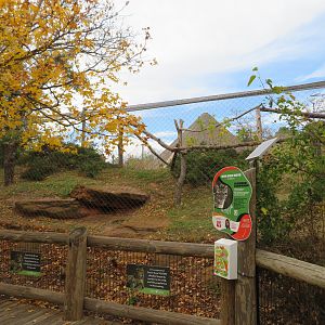 Clouded Leopard Exhibit