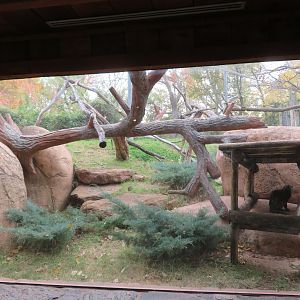 Rotational Small Cat Exhibit