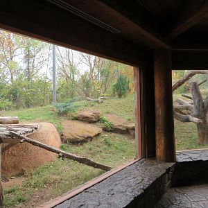 Rotational Small Cat Exhibit