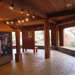 Cat Exhibit Viewing Area