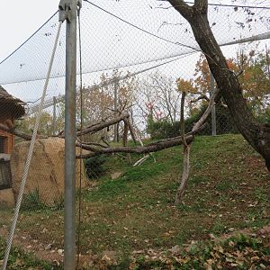 Rotational Small Cat Exhibit