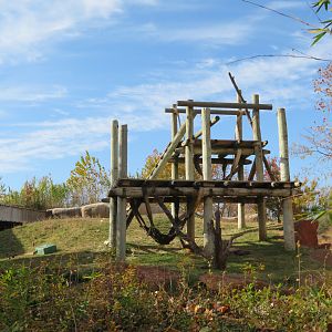 Part of Orangutan Exhibit