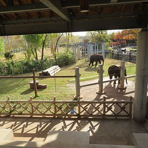 Elephant Presentation Area