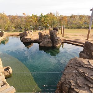 Asian Elephant Pool