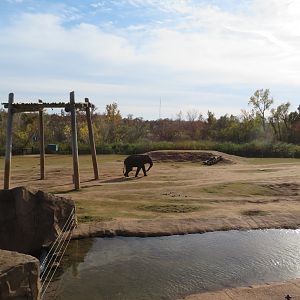 Asian Elephant Exhibit