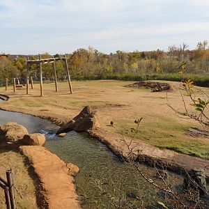 Asian Elephant Exhibit